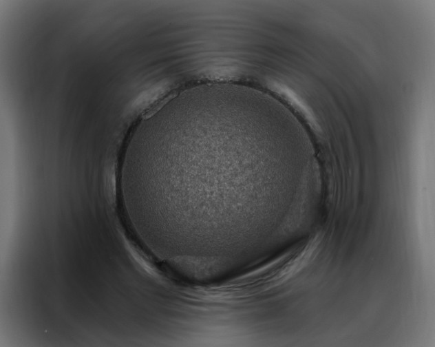 X0000088180493200705221645