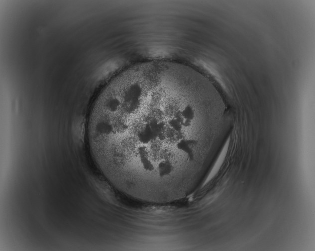 X0000088180495200705221645