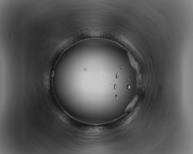 X0000088180497200705221645