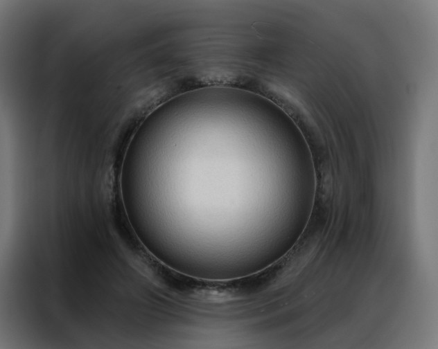 X0000088180498200705221645