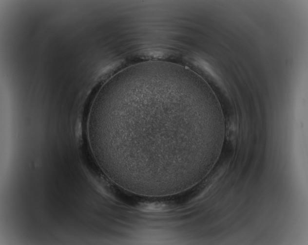 X0000088180500200705221645