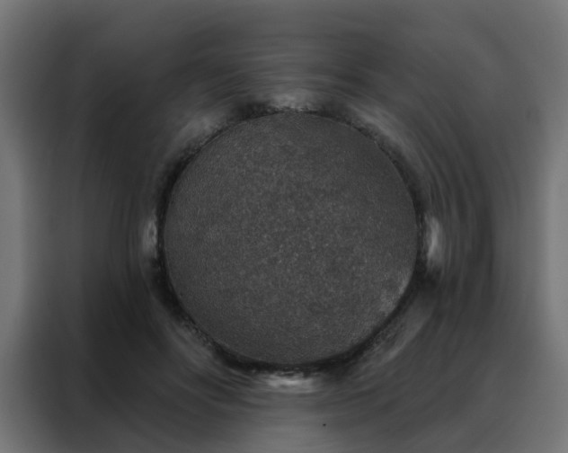 X0000088180502200705221645