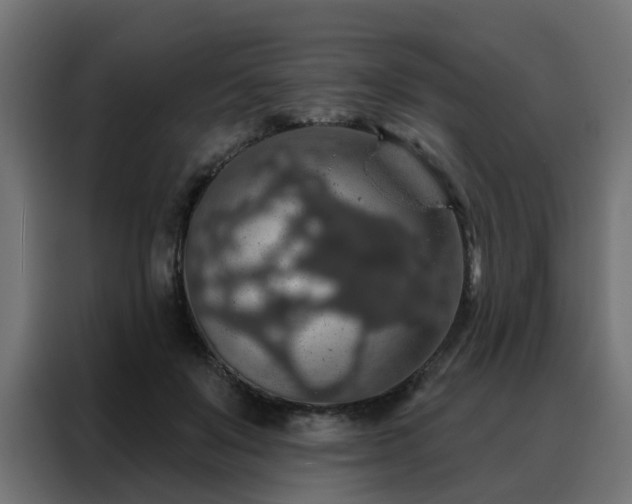 X0000088180503200705221645