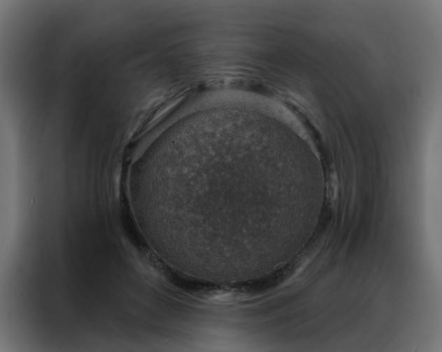 X0000088180504200705221645