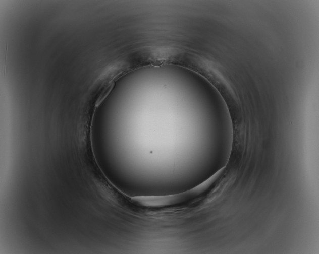 X0000088180505200705221645