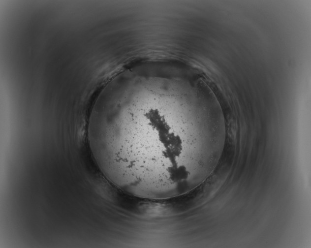 X0000088180507200705221645
