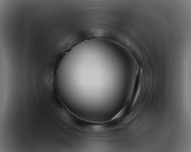 X0000088180509200705221645