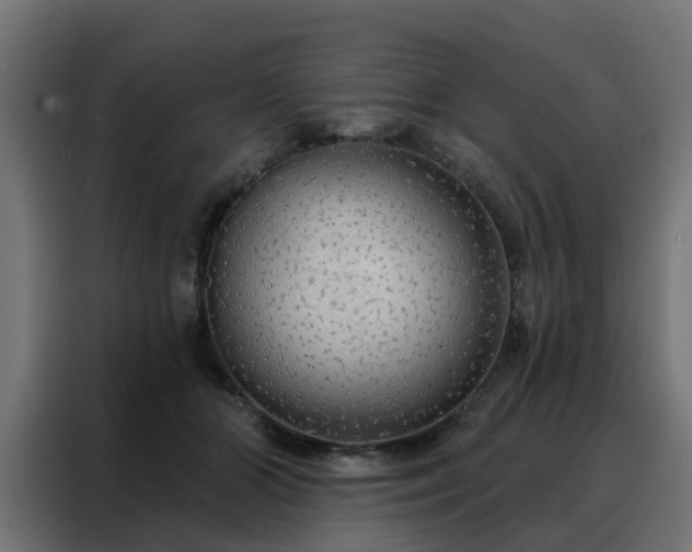 X0000088180510200705221645