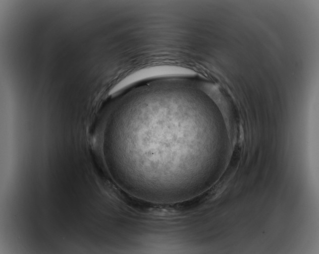 X0000088180512200705221645