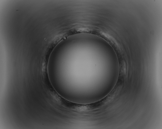 X0000088180513200705221645