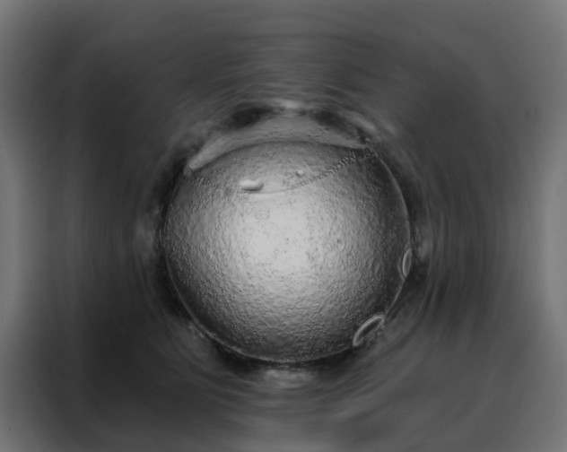 X0000088180515200705221645