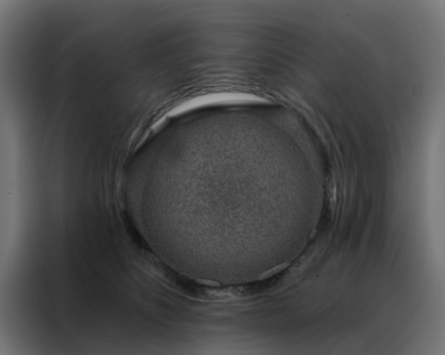 X0000088180516200705221645