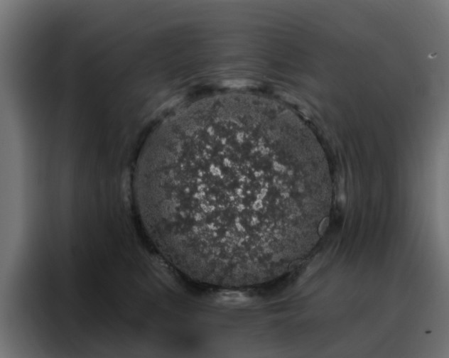 X0000088180519200705221645