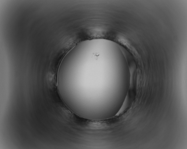 X0000088180521200705221645