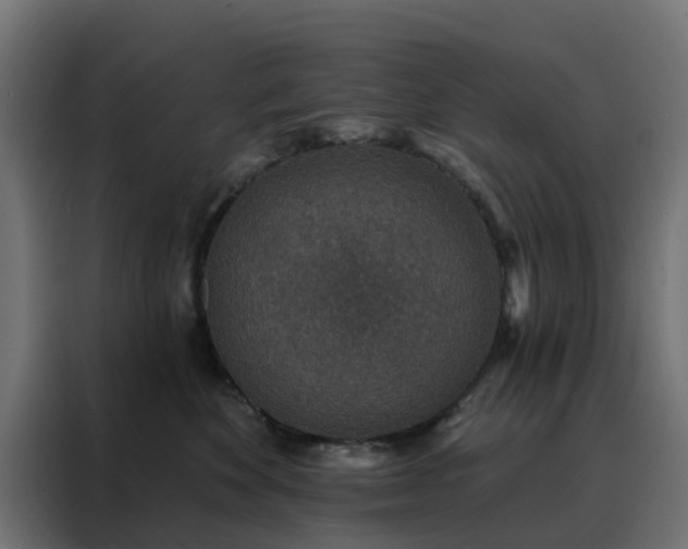 X0000088180524200705221645