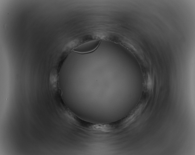 X0000088180526200705221645