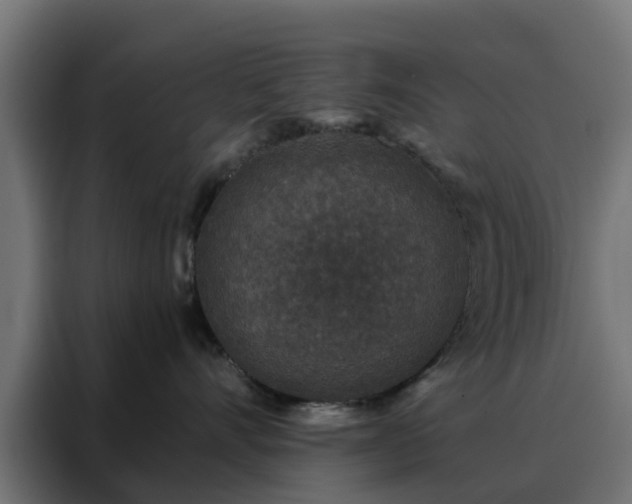 X0000088180528200705221645
