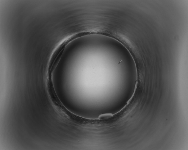 X0000088180532200705221644