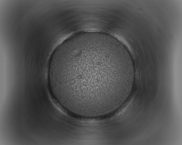 X0000088180533200705221644