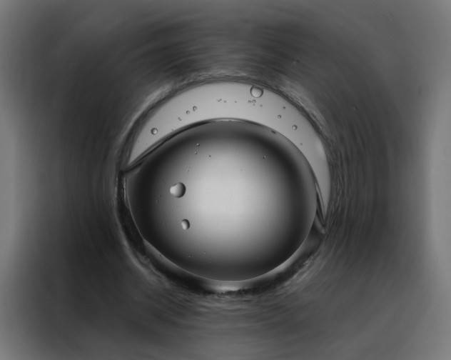 X0000088180534200705221644