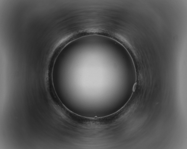 X0000088180535200705221644