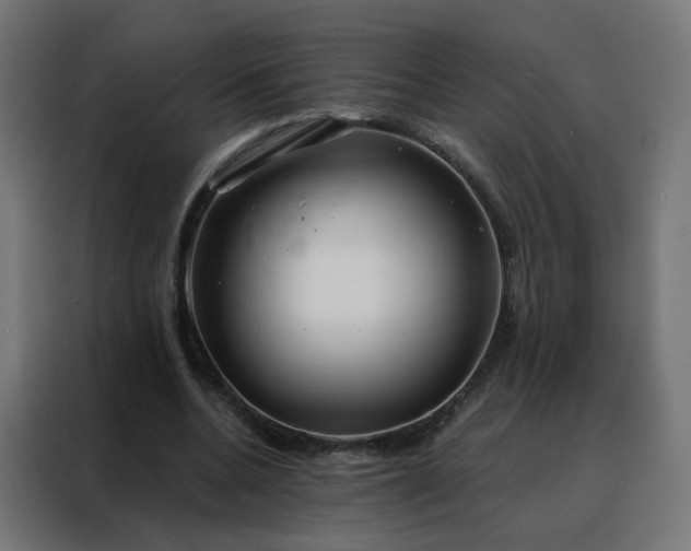 X0000088180536200705221644