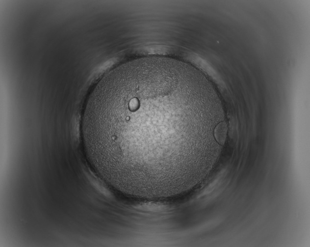 X0000088180537200705221644