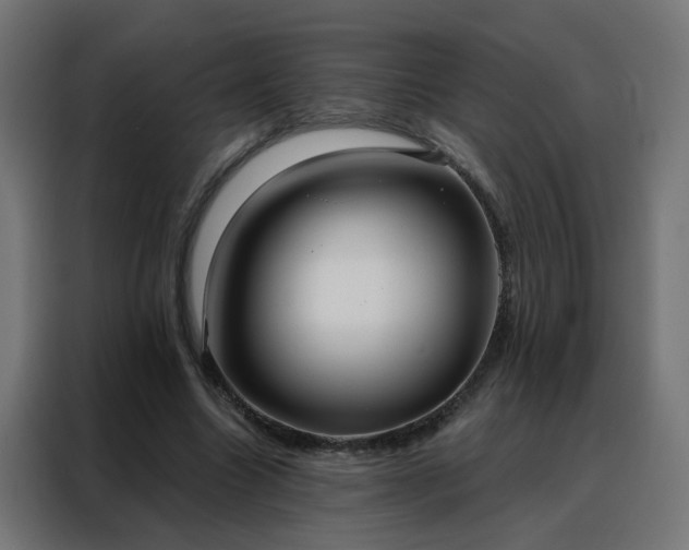 X0000088180538200705221644