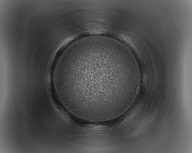 X0000088180539200705221644