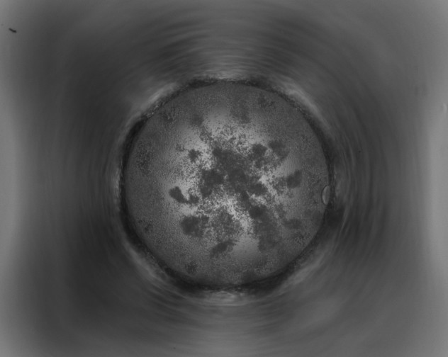 X0000088180542200705221644