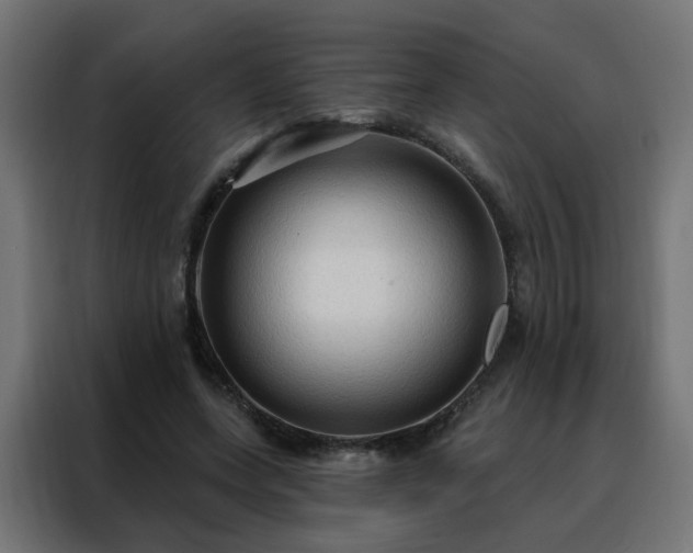 X0000088180543200705221644