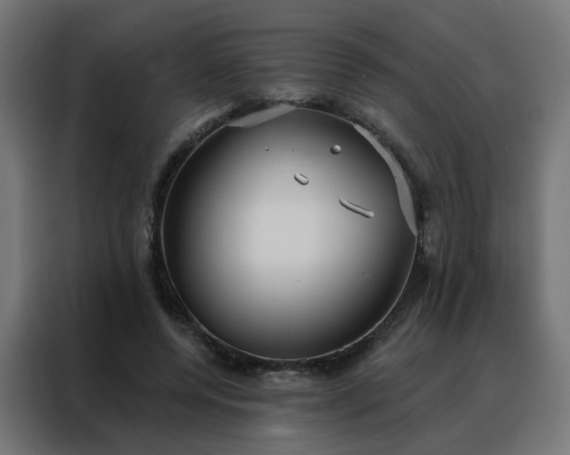 X0000088180544200705221644
