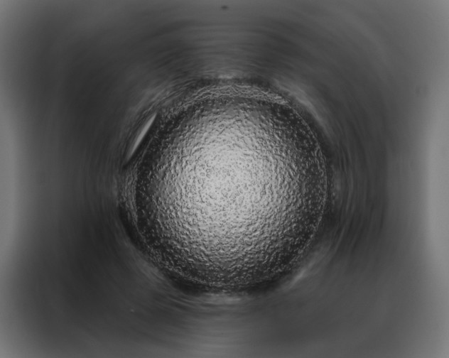 X0000088180545200705221644