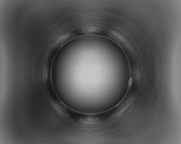 X0000088180546200705221644