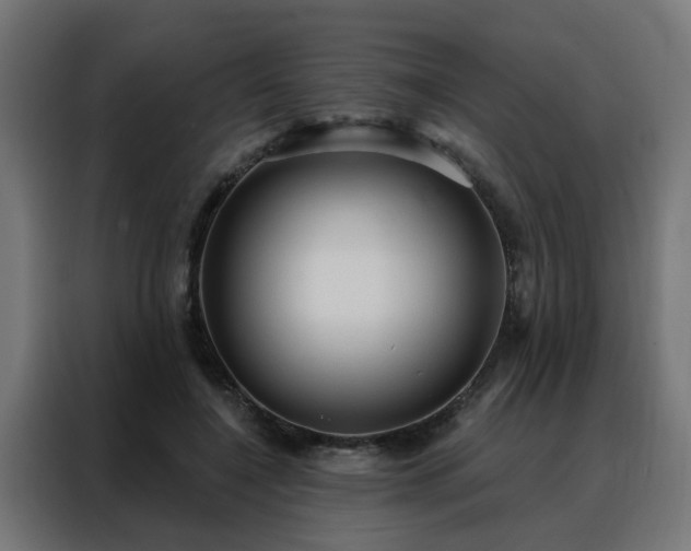 X0000088180548200705221644