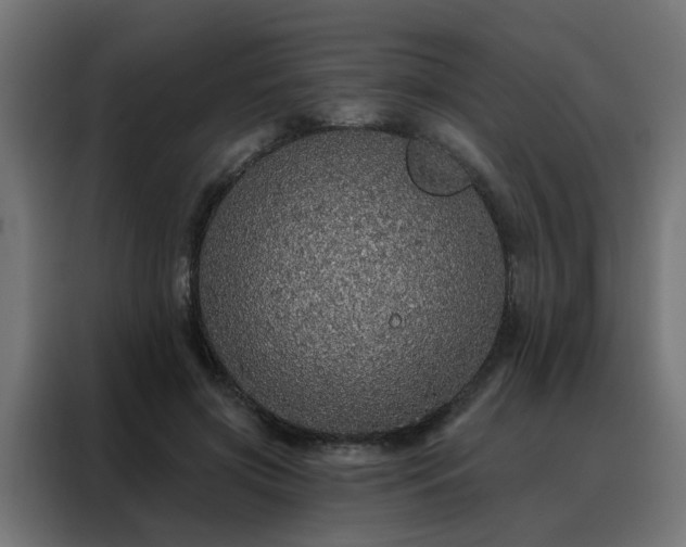 X0000088180549200705221644