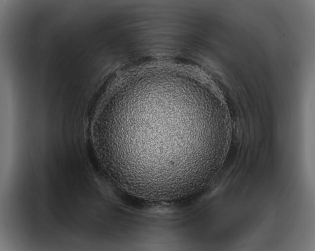 X0000088180550200705221644