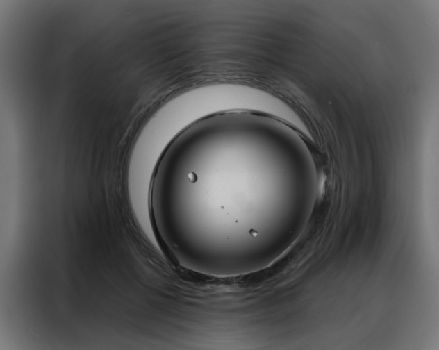 X0000088180552200705221644