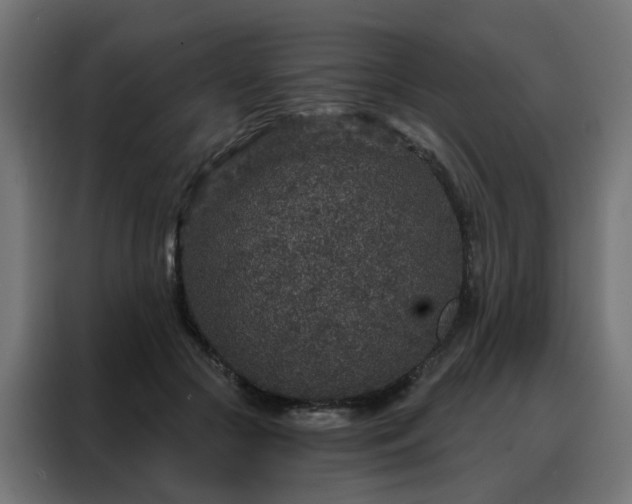 X0000088180553200705221644