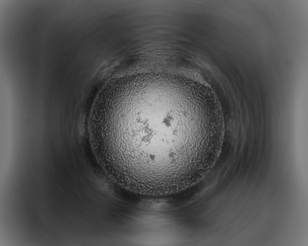 X0000088180554200705221644