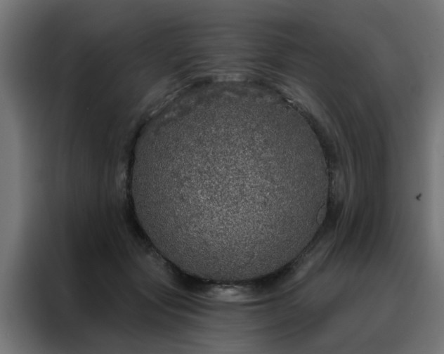 X0000088180557200705221644
