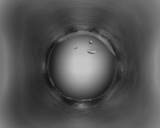 X0000088180564200705221644