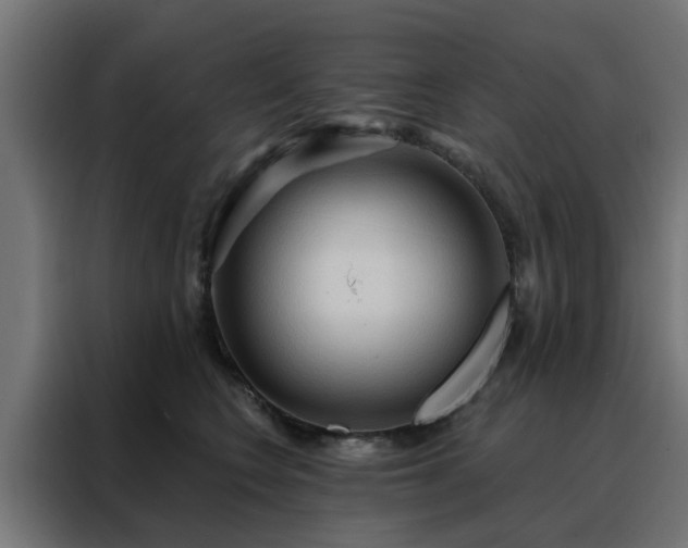 X0000088180566200705221644
