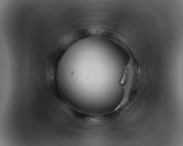 X0000088180567200705221644