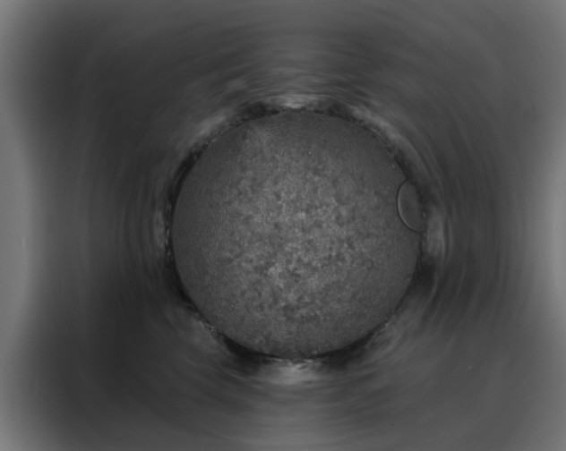 X0000088180569200705221644