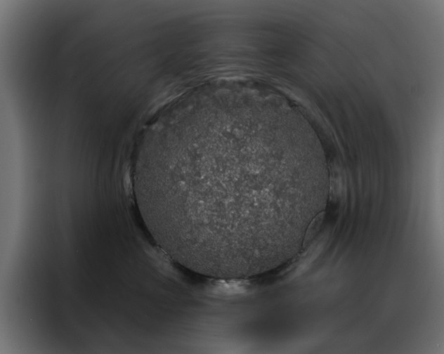 X0000088180573200705221645