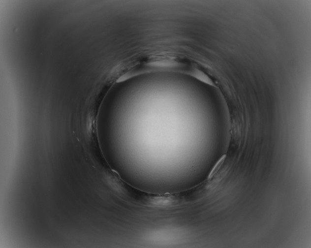 X0000088180574200705221645