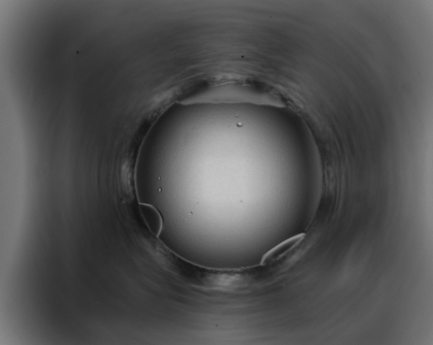 X0000088180575200705221645