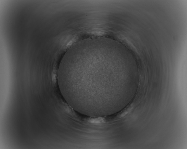 X0000088180576200705221645