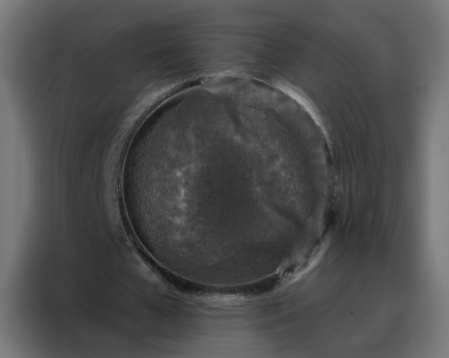 X0000088180577200705221644